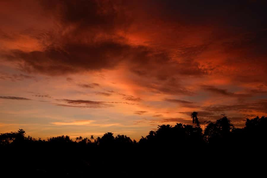 Mount Batur Sunrise Trek & Hot Springs Tour - Sunrise views and breakfast at the peak: what makes it worth waking up