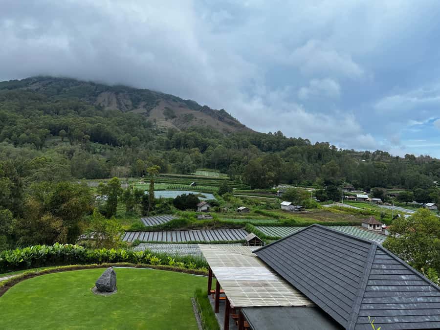 Mount Batur Sunrise Trek & Hot Springs Tour - Kintamani coffee plantation stop: tasting in a short window