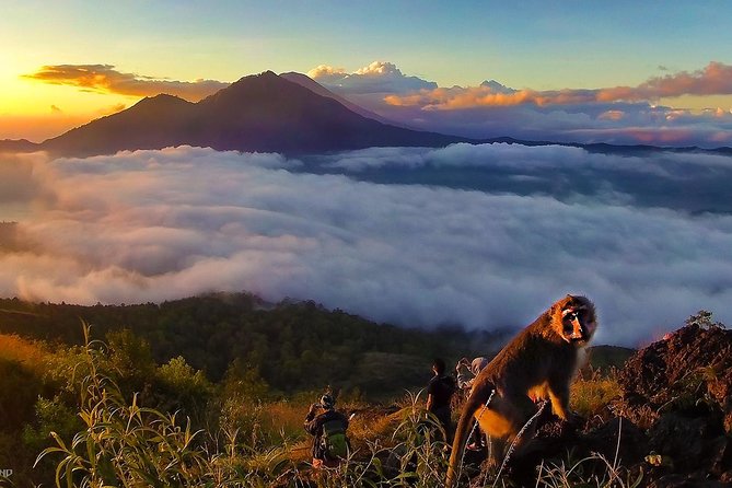 Mount Batur Sunrise Trekking With Breakfas - Optional Luwak Coffee at a Plantation Stop