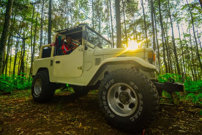 Mount Batur Trekking by 4wd Jeep - The summit walk and sunrise breakfast cooked in volcanic steam