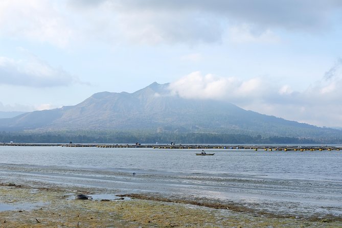 Mount Batur Trekking Sunrise Private Tour - The return to Toya Bungkah and the coffee plantation stop