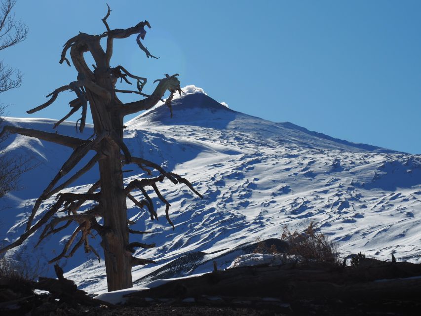 Mount Etna: Trek to the Craters of The 2002 Eruption - The walk itself: along Etna’s northern eruptive fault
