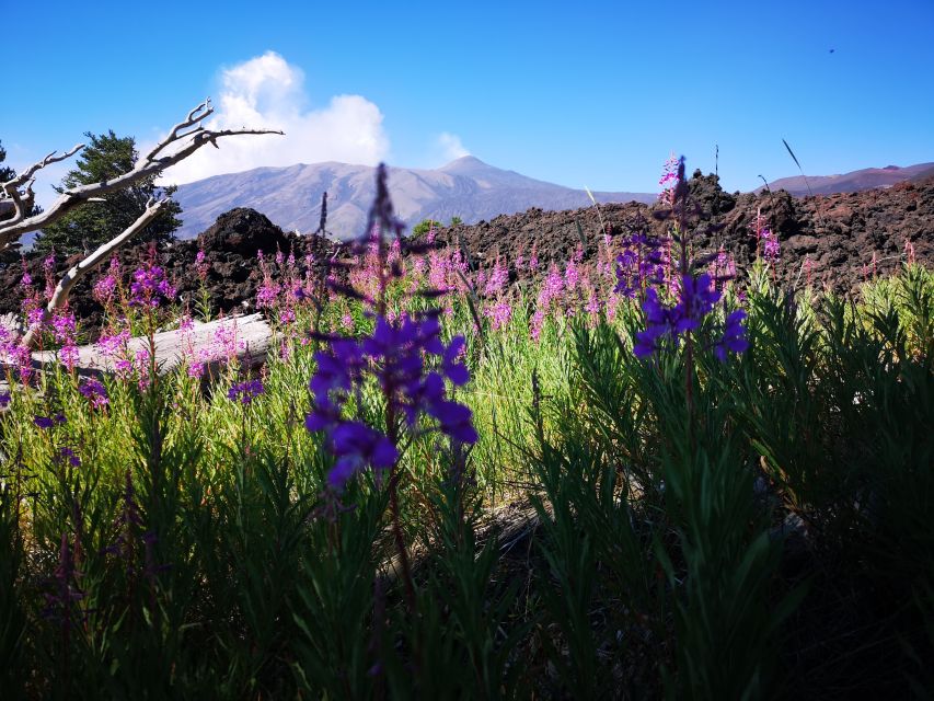 Mount Etna: Trek to the Craters of The 2002 Eruption - Etna beyond the eruption: Greek myth and living farmland