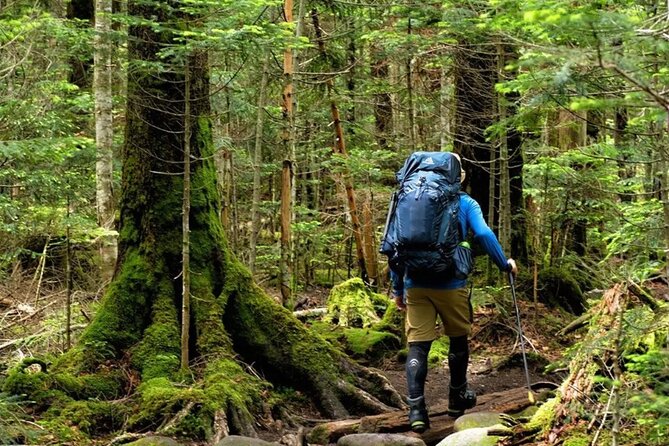 Mount Fansipan 2 Days Trek – Roof of Indochina - Guides, pace, and why the small-group size feels better