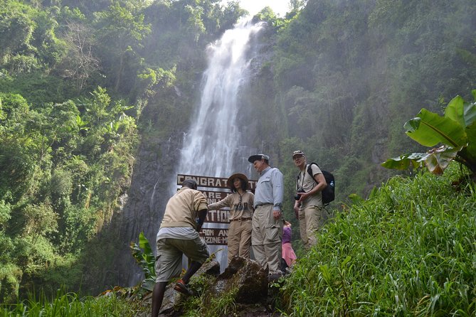 Mount Kilimanjaro day trip trekking - Key things to know before you go