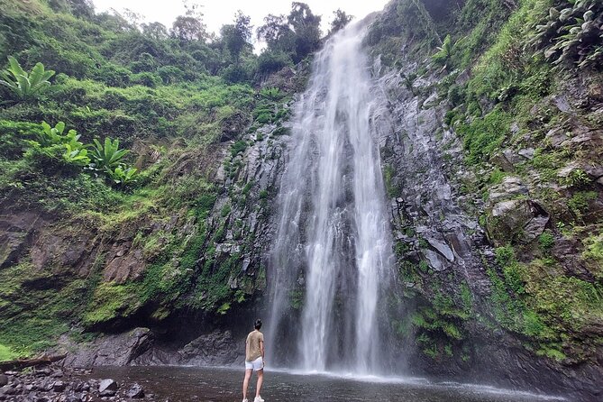 Mount Kilimanjaro day trip trekking - From Arusha to Materuni Waterfalls: a hike that actually feels worth it