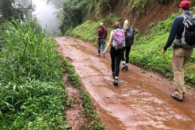 Mount Kilimanjaro day trip trekking - Coffee farm time in Tanzania: more than a taste test