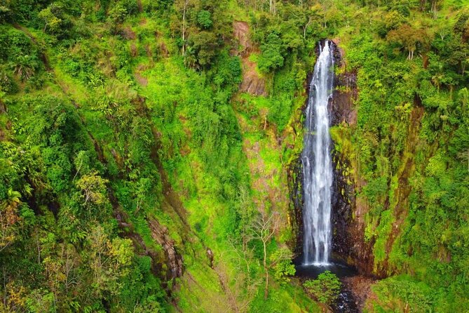Mount Kilimanjaro day trip trekking - Price and value: what $90 covers for this Materuni–Kikuletwa day