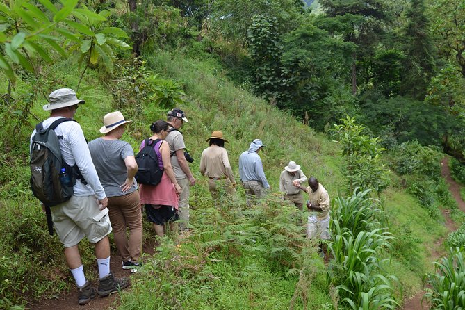 Mount Kilimanjaro day trip trekking - What this tour is best for (and who should skip it)