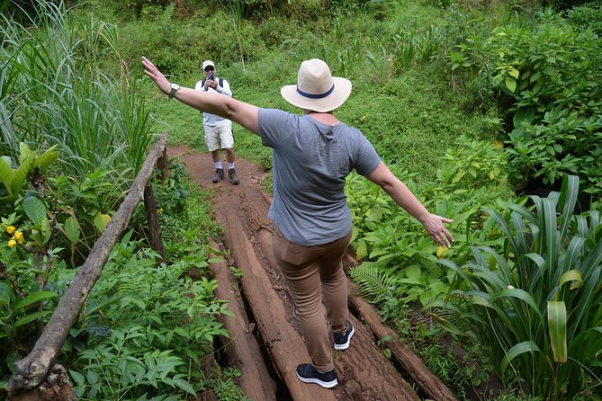 Mount Kilimanjaro day trip trekking - Should you book Simbaland Magic’s Materuni + Kikuletwa day trip?