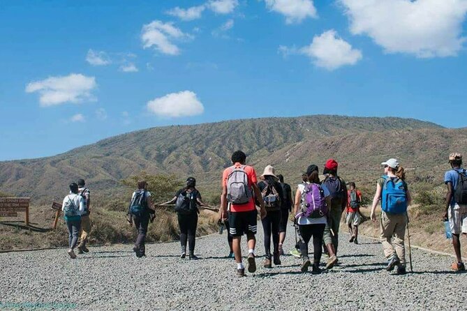 Mount Longonot Full-Day Hiking and Trekking Trip from Nairobi - Lake Naivasha Boat Upgrade: Optional Wildlife Time With Hippos