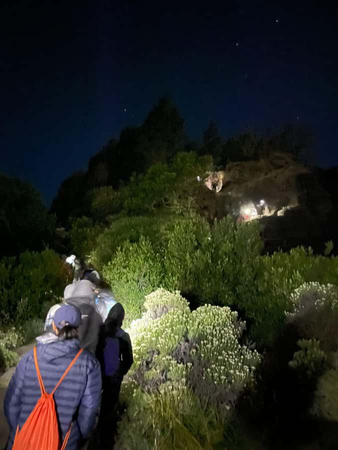Mount Rinjani: 2D-1N Trekking Summit Sunrise Point Join Tour - Day 1 Timing and Terrain: From Open Meadows to the 2,639m Camp