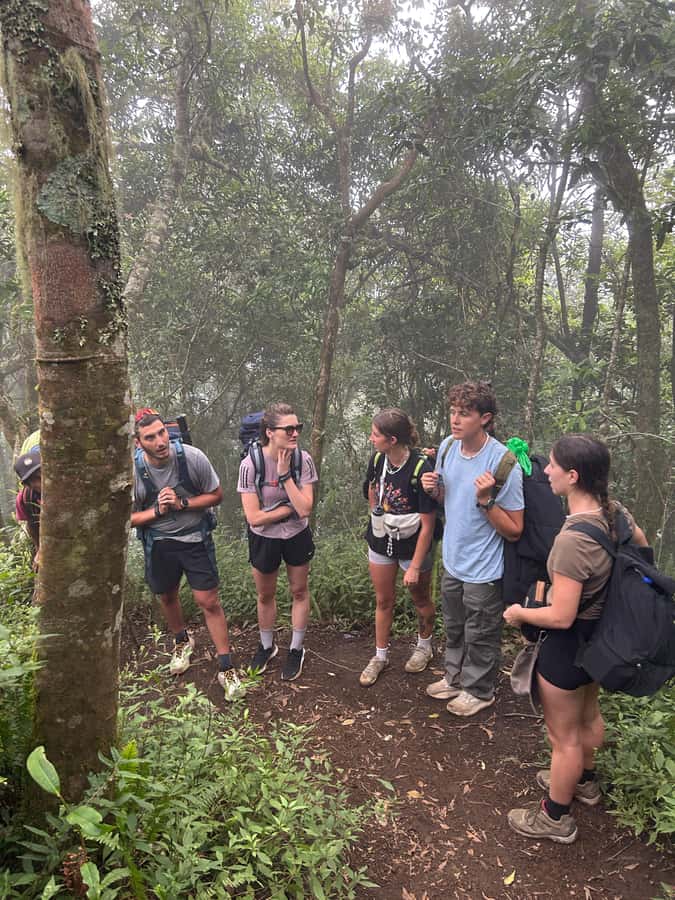 Mount Rinjani: 2D-1N Trekking Summit Sunrise Point Join Tour - Who Should Book This Rinjani 2D-1N Sunrise Tour (and Who Should Think Twice)