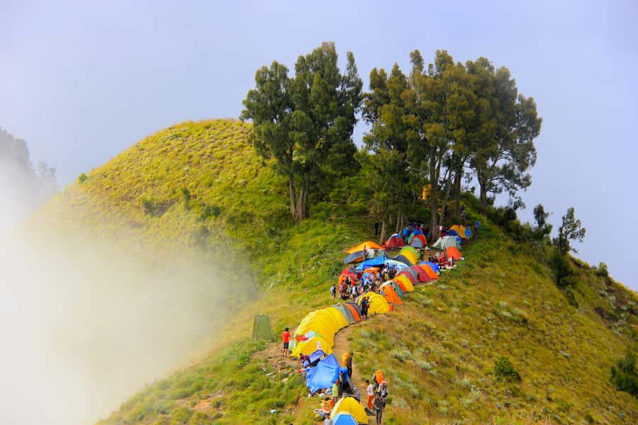 Mount Rinjani: 2D/1N Trekking To Sembalun Or Senaru Views - Why this Mount Rinjani 2D/1N trek starts with Sembalun