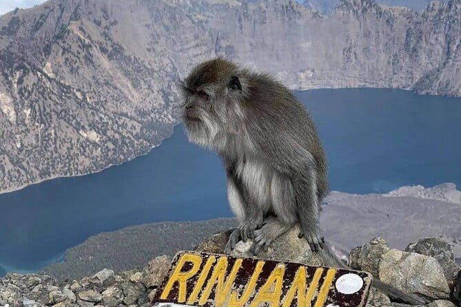 Mount Rinjani 2D 1N trekking to summit - Guides, Porters, and the Pace of a Max-10 Trek