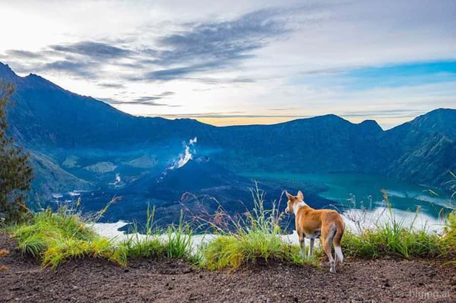 mount rinjani One day trek - Gear and Prep: What to Bring So the Hike Feels Like a Plan