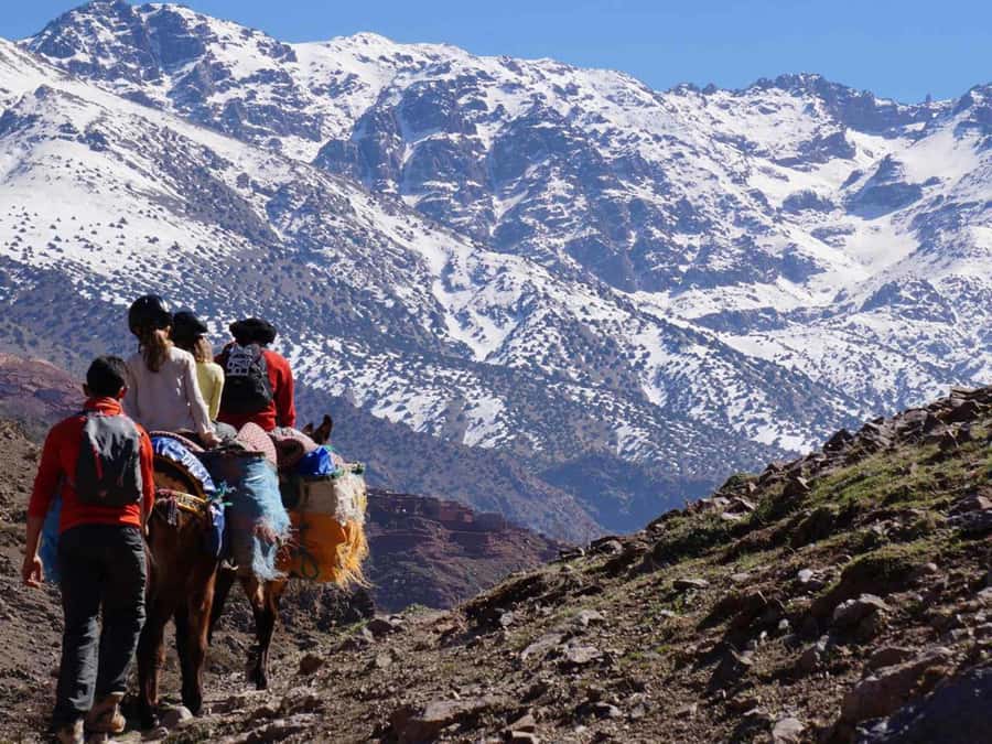 Mount Toubkal Trek 2 Days & 1 Night - Gear checklist that actually matters for Toubkal