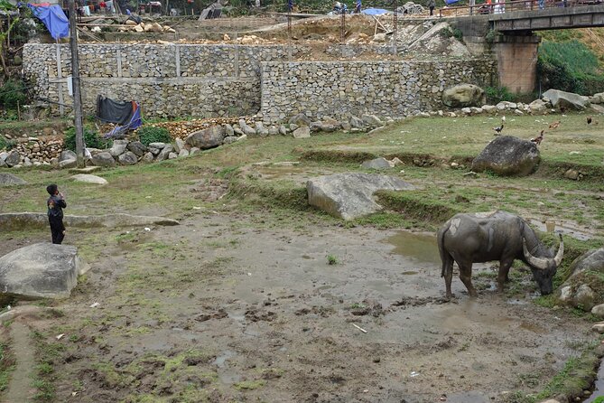 Mountain views and villages trek – 1 Day - What you learn in Ham Da: marriage, farming, and house building
