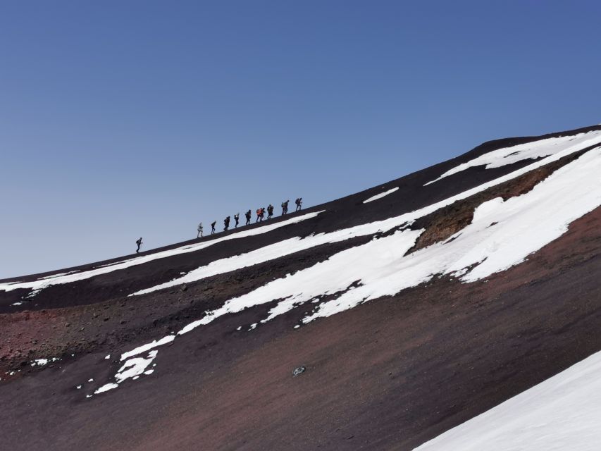 Mt Etna: Winter Trekking Tour with Optional Catania Transfer - From Rifugio Sapienza to the Black Larch Pine Forest