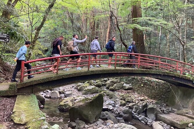 Mt. Inunaki Trekking and Goma Prayer Experience in Osaka - Key things I’d plan for on Mt. Inunaki