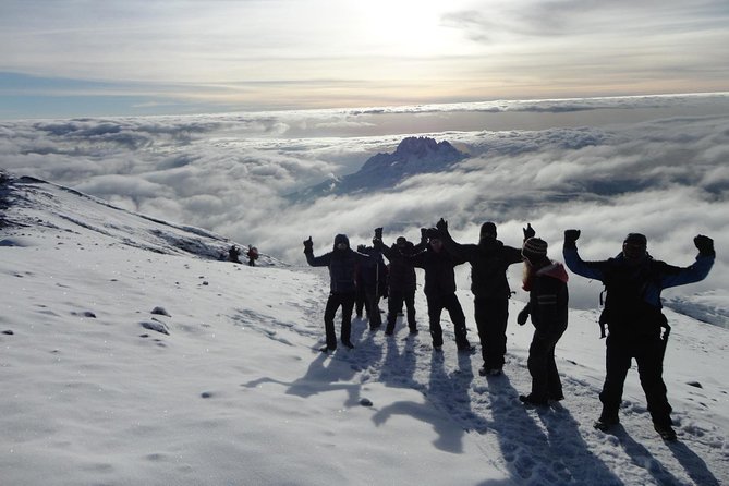 Mt Kilimanjaro 360° Trek with Once-in-a-Lifetime Crater Camping - Day 1 to Mti Mkubwa Camp: the slippery warm-up that pays off
