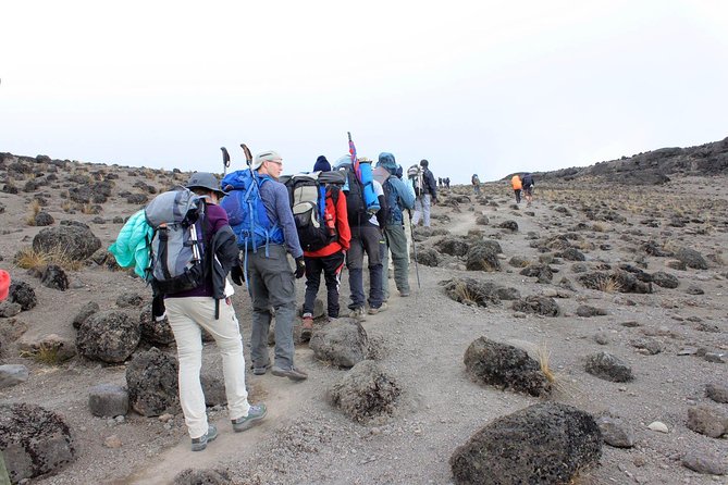 Mt Kilimanjaro 360° Trek with Once-in-a-Lifetime Crater Camping - Summit night and crater camping: the hardest hours, the best reward
