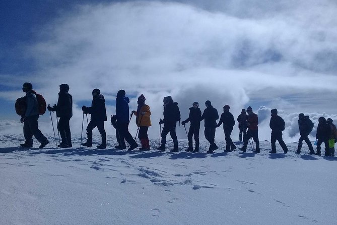 Mt Kilimanjaro 360° Trek with Once-in-a-Lifetime Crater Camping - Morning in the crater and descent to Millennium and Mweka Gate