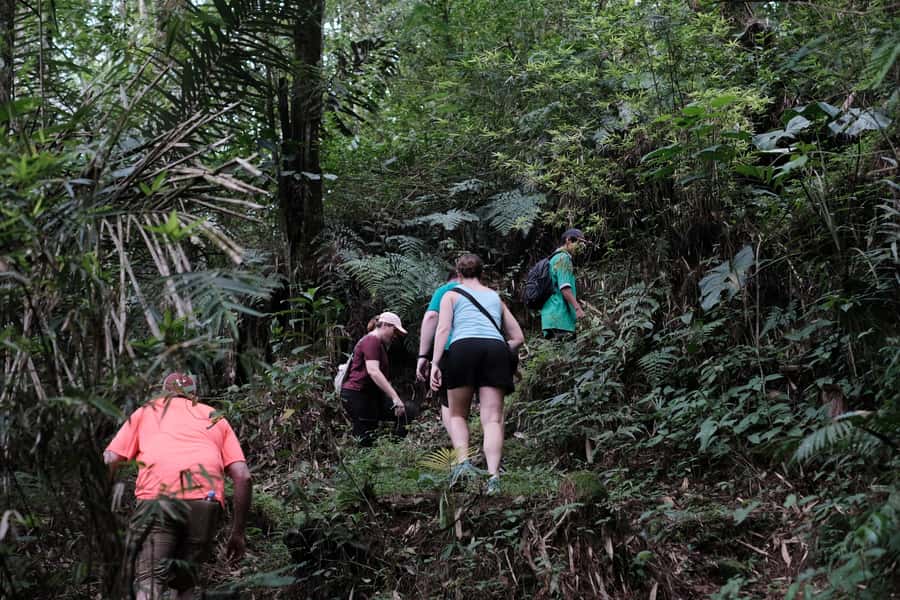 Mt. Merapi Majesty: Soft Trek and Botanic Village Tour - Key Things I’d Block Time For