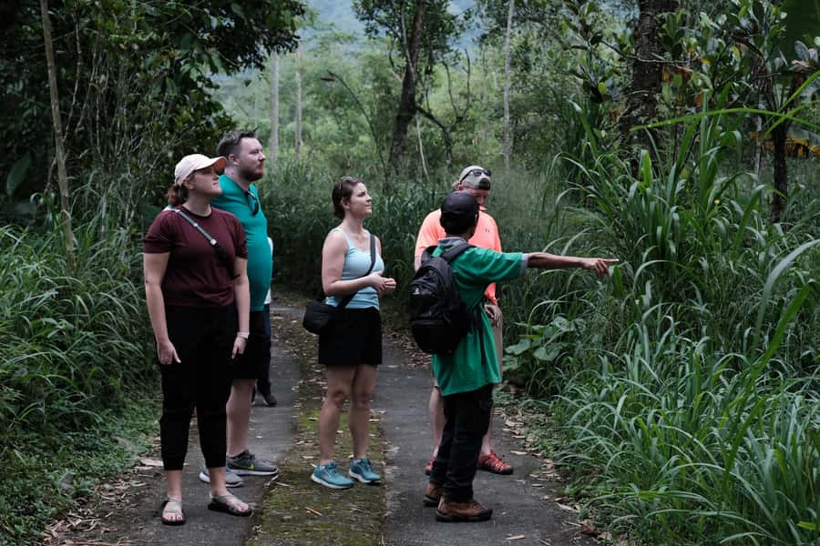 Mt. Merapi Majesty: Soft Trek and Botanic Village Tour - A 6-Hour Soft Trek From Yogyakarta’s Doorstep