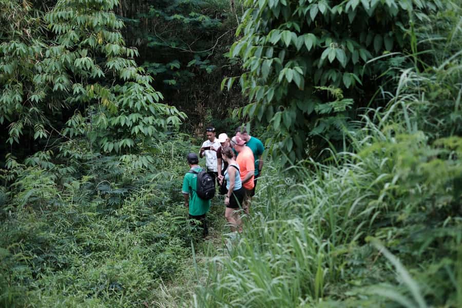 Mt. Merapi Majesty: Soft Trek and Botanic Village Tour - Botanical Gardens and Orchid Country: Plant Stops That Actually Mean Something