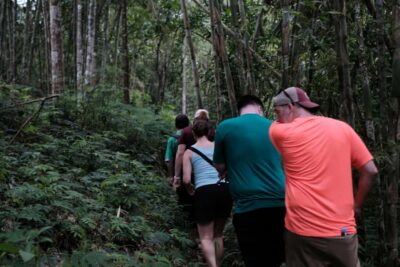 Mt. Merapi Majesty: Soft Trek and Botanic Village Tour - Walking Under Mount Merapi Without the Hard-Core Hike