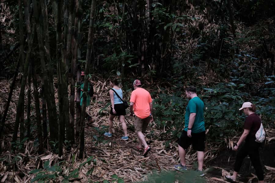 Mt. Merapi Majesty: Soft Trek and Botanic Village Tour - Price and What You Get for $68 Per Person