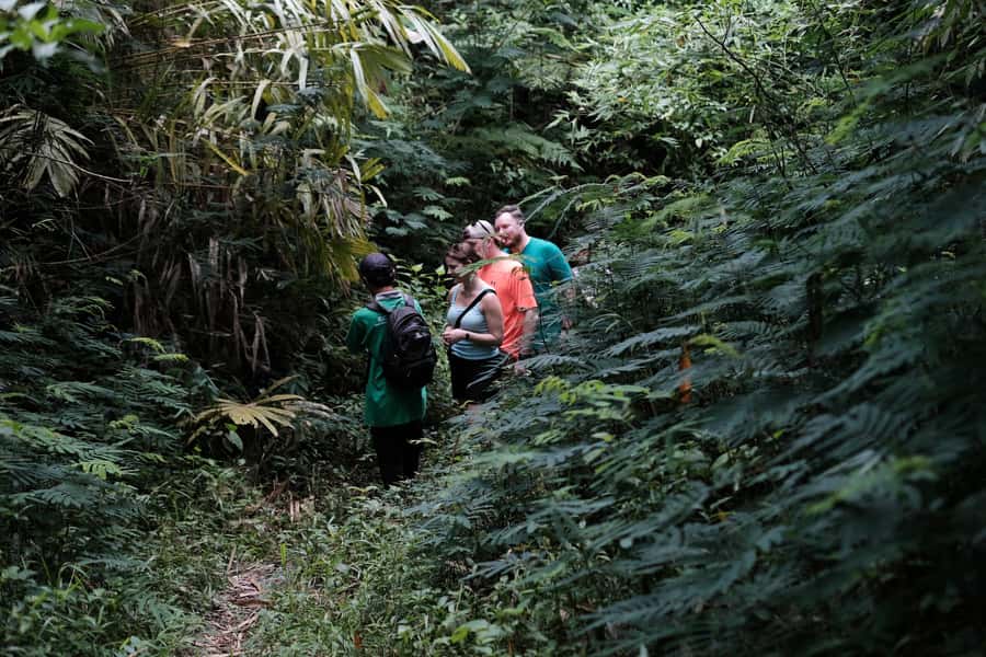 Mt. Merapi Majesty: Soft Trek and Botanic Village Tour - What to Bring (So You Don’t Waste the Day)