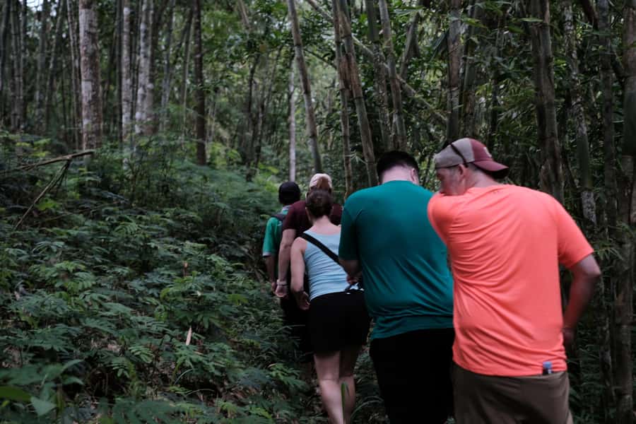 Mt. Merapi Majesty: Soft Trek and Botanic Village Tour - Walking Under Mount Merapi Without the Hard-Core Hike