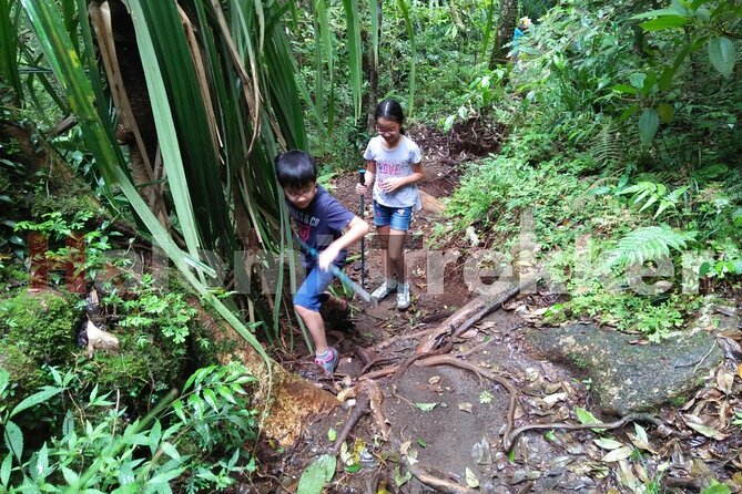 Mt Rinjani Trekking 2 Days 1 Night (Senaru Crater Rim) - Getting Into Senaru: Pickup, Start Time, and the Right Kind of Headspace
