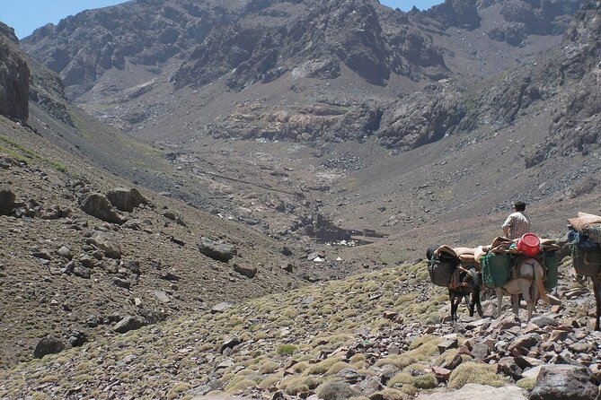 Mt Toubkal Ascent Express Trek 2 Days 1 Night - Who this trek suits best (and who should rethink)