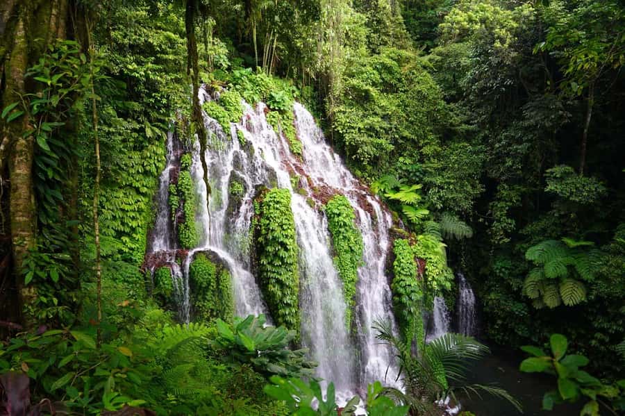 Munduk: Banyu Wana and Sekumpul Waterfall Trekking Tour - Key things that make this tour worth your time
