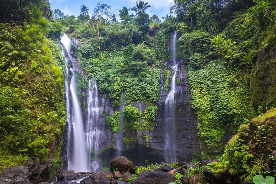 Munduk: Banyu Wana and Sekumpul Waterfall Trekking Tour - A quick reality check: what this trek really feels like