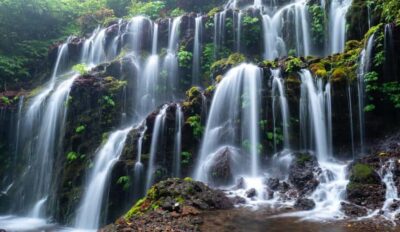 Munduk: Banyu Wana and Sekumpul Waterfall Trekking Tour - Rice terraces near Munduk: a warm-up walk that sets the mood