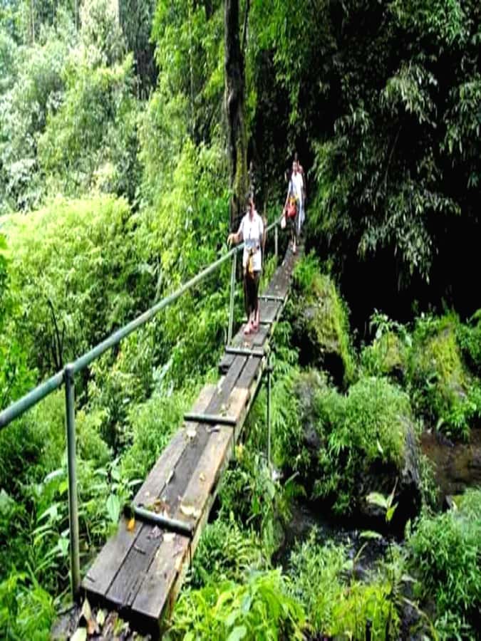 Munduk Jungle Trek to Banyumala & Pucak Manik – Private - Private Day, Real Hike: How the 6–8 Hours Play Out