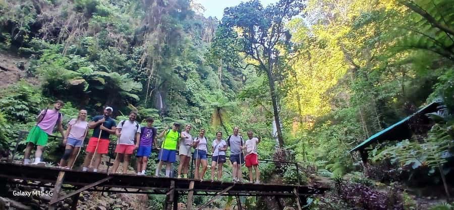 Munduk Jungle Trek to Banyumala & Pucak Manik – Private - Jalan Tirta Kuning: Photo Stop Energy With Plant-Spotting Potential