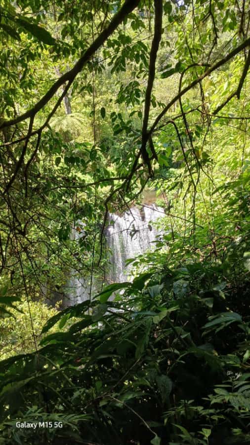 Munduk Jungle Trek to Banyumala & Pucak Manik – Private - The Walking Sections: Rainforest Steps, Humidity, and Staying Comfortable