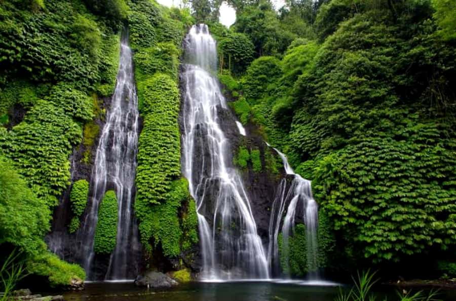 Munduk Jungle Trek to Banyumala & Pucak Manik – Private - Guides Make the Day: Krisna, Made, Putra, Adi, and the Forest Lessons