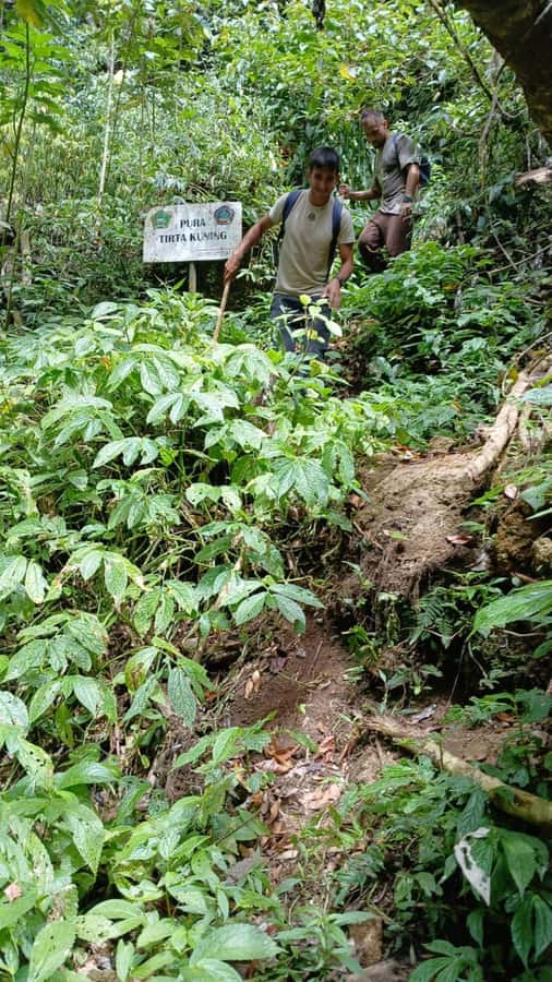 Munduk Jungle Trek to Banyumala & Pucak Manik – Private - What to Pack (So You Don’t Hate the Jungle)