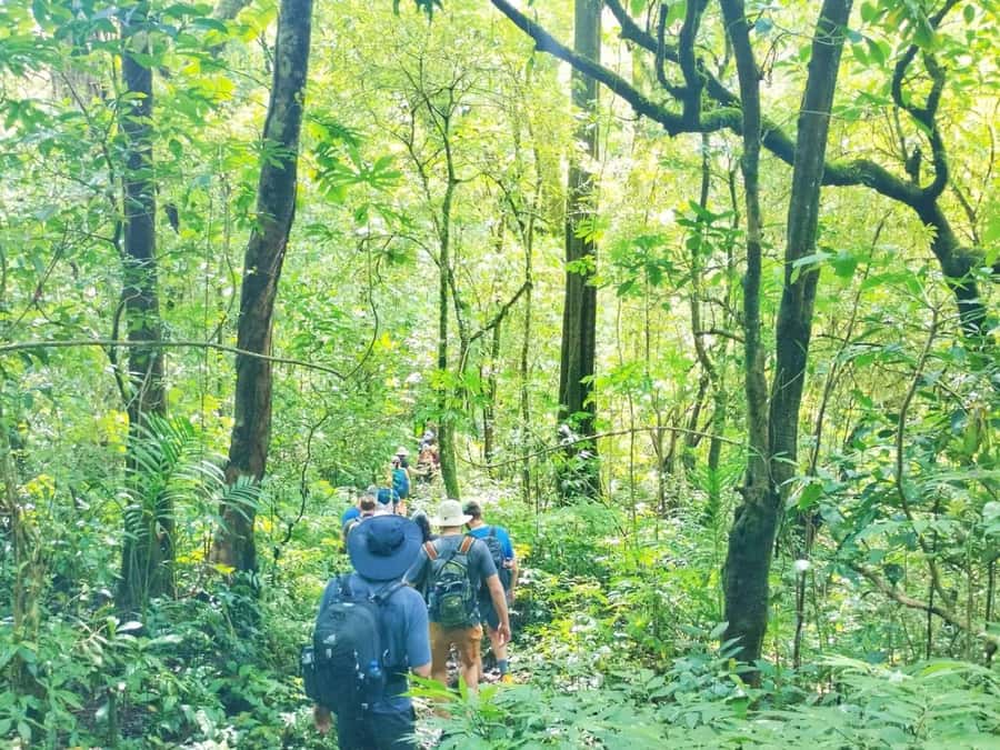 Munduk : Jungle Trekking,Canoeing,waterfall &authentic lunch - Jungle Trekking: What the Trail Feels Like and Why Temple Stops Matter