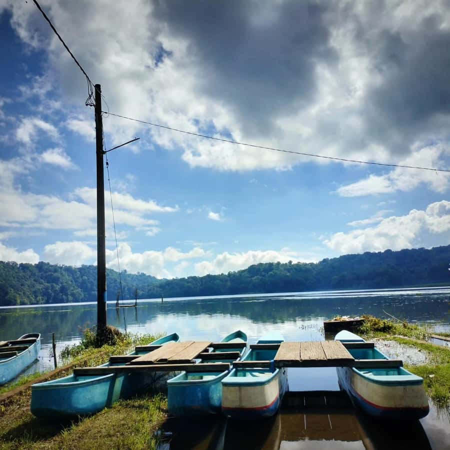 Munduk : Jungle Trekking,Canoeing,waterfall &authentic lunch - Price and What’s Included: Does $45 Hold Up?