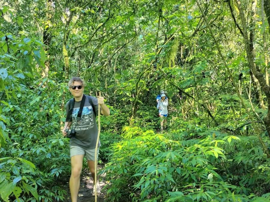 Munduk : Jungle Trekking,Canoeing,waterfall &authentic lunch - Should You Book This Munduk Jungle Adventure?