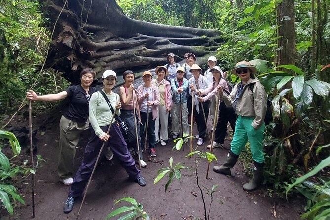 Munduk Twin Lake Jungle Trek with Sacred Forest Temples&Canoeing - The Rainforest Trek: 1.5 Hours of Birdsong and Big Trees