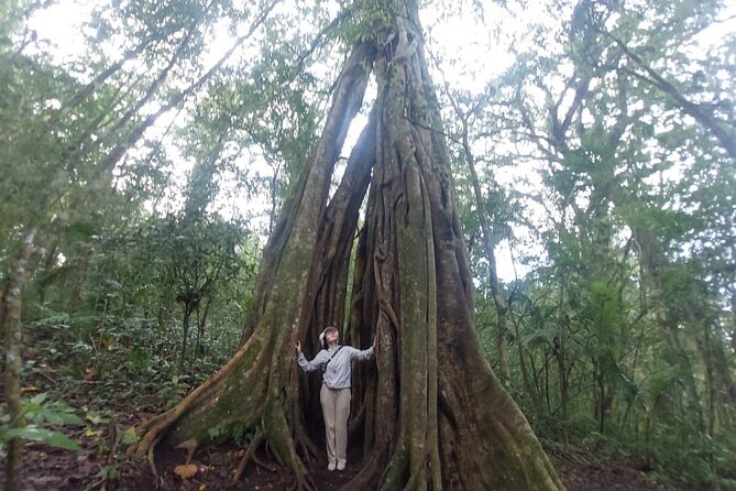 Munduk Twin Lake Jungle Trek with Sacred Forest Temples&Canoeing - Lake Canoeing on Tamblingan: The Calm Part of the Day