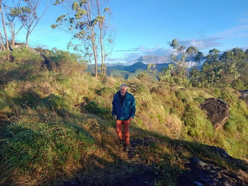 Munnar: Half day Guided Trek - First Step at Munnar Info: How the 4-Hour Trek Fits Your Day